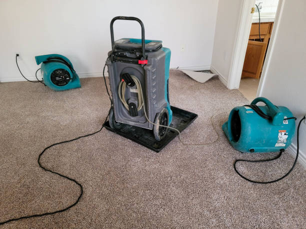  Centerville, TN Water damage restoration Pros