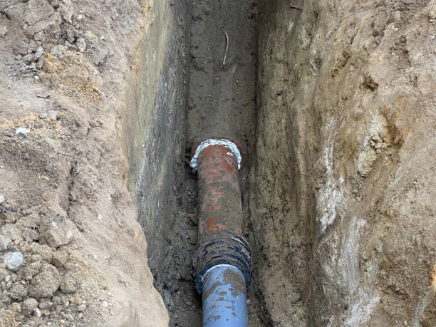 Best Basement water damage restoration  in Centerville, TN