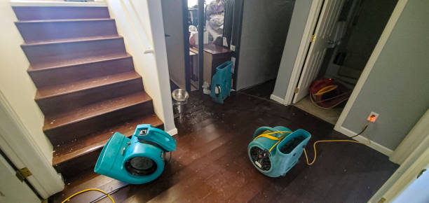 Best 24/7 water damage repair  in Centerville, TN