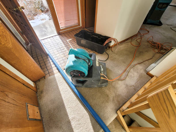 Best Basement water damage restoration  in Centerville, TN