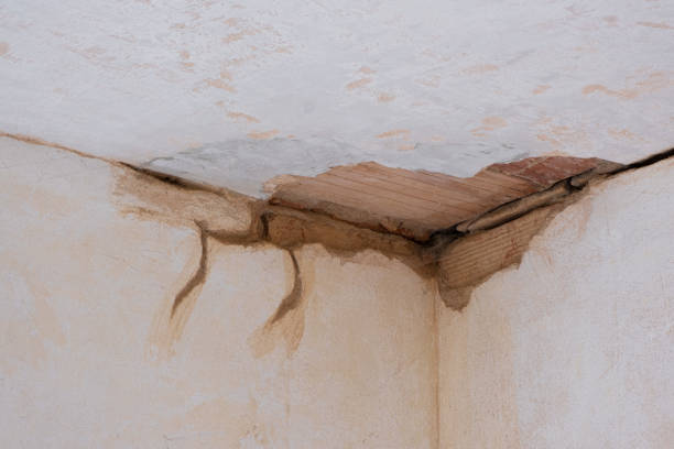 Best Flood restoration services  in Centerville, TN