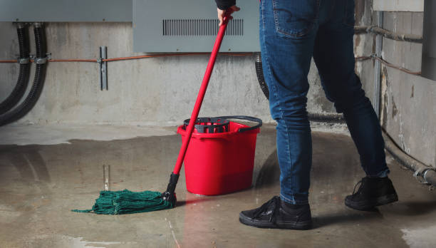 Best Sewage cleanup and water damage restoration  in Centerville, TN