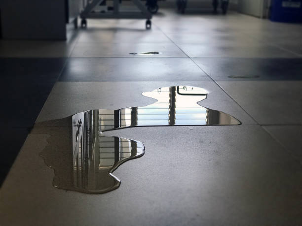 Best 24-hour water damage restoration  in Centerville, TN