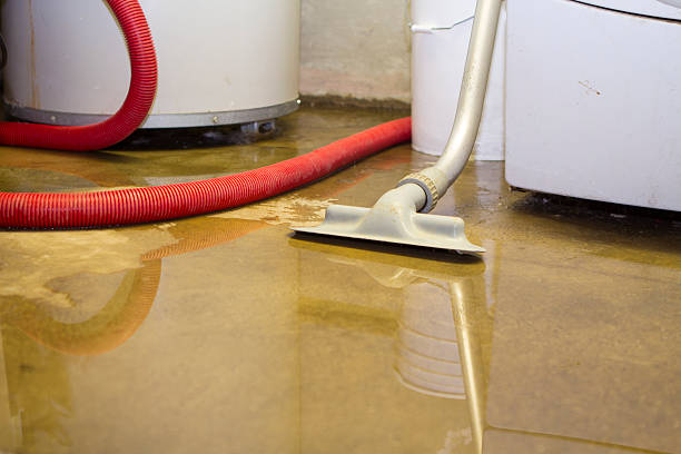 Best Carpet water damage restoration  in Centerville, TN