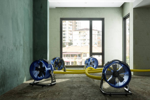 Carpet water damage restoration in TN